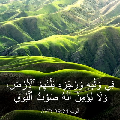 Picture 03 - أَيُّوبَ 39:24 AVD - فِي وَثْبِهِ وَرُجْزِهِ - Bible Verse Picture