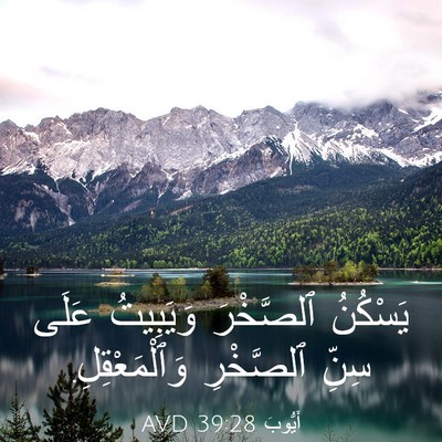 Picture 03 - أَيُّوبَ 39:28 AVD - يَسْكُنُ ٱلصَّخْرَ - Bible Verse Picture