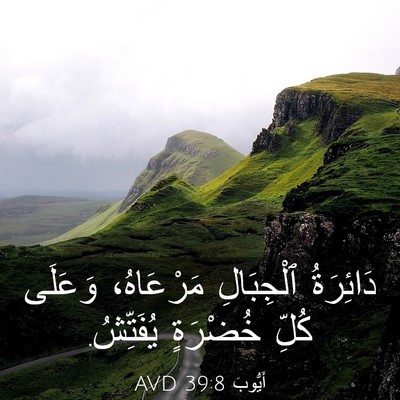 Picture 03 - أَيُّوبَ 39:8 AVD - دَائِرَةُ ٱلْجِبَالِ - Bible Verse Picture