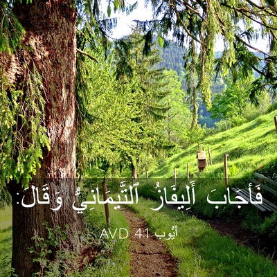 Picture 03 - أَيُّوبَ 4:1 AVD - فَأجَابَ أَلِيفَازُ - Bible Verse Picture
