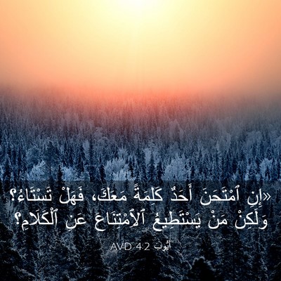Picture 03 - أَيُّوبَ 4:2 AVD - «إِنِ ٱمْتَحَنَ أَحَدٌ - Bible Verse Picture