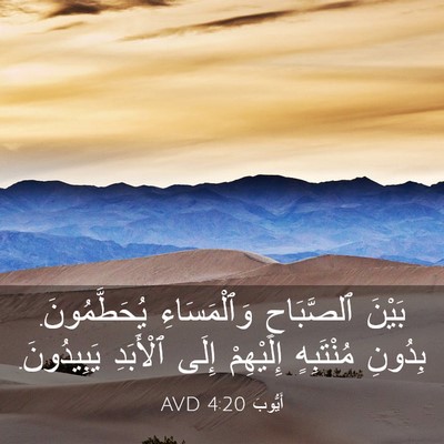 Picture 03 - أَيُّوبَ 4:20 AVD - بَيْنَ ٱلصَّبَاحِ - Bible Verse Picture