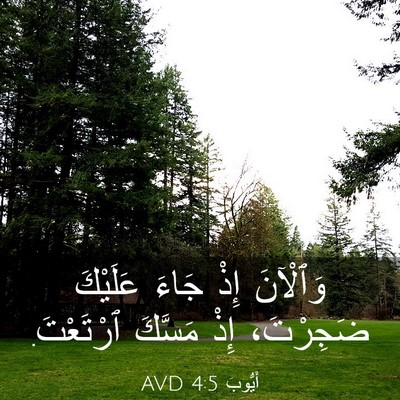 Picture 03 - أَيُّوبَ 4:5 AVD - وَٱلْآنَ إِذْ جَاءَ - Bible Verse Picture