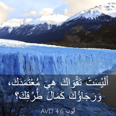 Picture 03 - أَيُّوبَ 4:6 AVD - أَلَيْسَتْ تَقْوَاكَ هِيَ - Bible Verse Picture