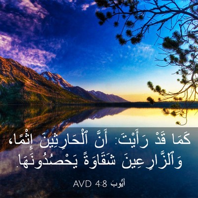 Picture 03 - أَيُّوبَ 4:8 AVD - كَمَا قَدْ رَأَيْتَ: أَنَّ - Bible Verse Picture