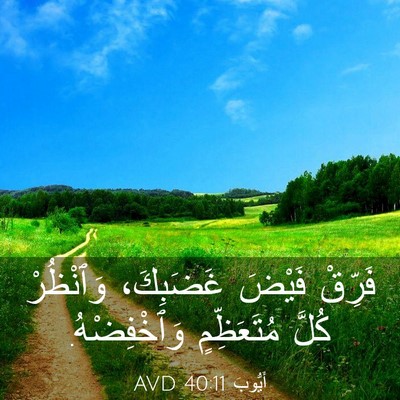 Picture 03 - أَيُّوبَ 40:11 AVD - فَرِّقْ فَيْضَ غَضَبِكَ، - Bible Verse Picture