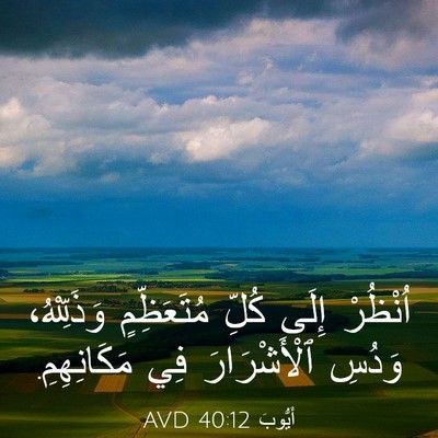Picture 03 - أَيُّوبَ 40:12 AVD - اُنْظُرْ إِلَى كُلِّ - Bible Verse Picture