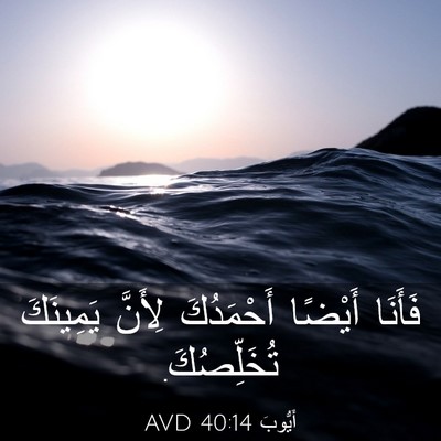 Picture 03 - أَيُّوبَ 40:14 AVD - فَأَنَا أَيْضًا - Bible Verse Picture