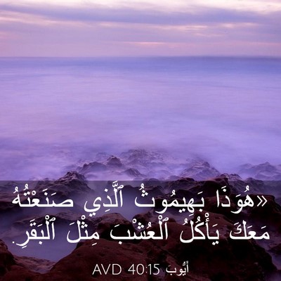 Picture 03 - أَيُّوبَ 40:15 AVD - «هُوَذَا بَهِيمُوثُ - Bible Verse Picture