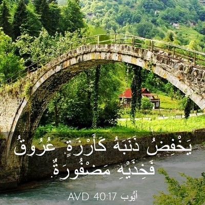 Picture 03 - أَيُّوبَ 40:17 AVD - يَخْفِضُ ذَنَبَهُ - Bible Verse Picture