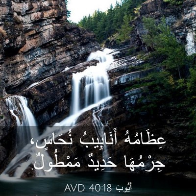 Picture 03 - أَيُّوبَ 40:18 AVD - عِظَامُهُ أَنَابِيبُ - Bible Verse Picture
