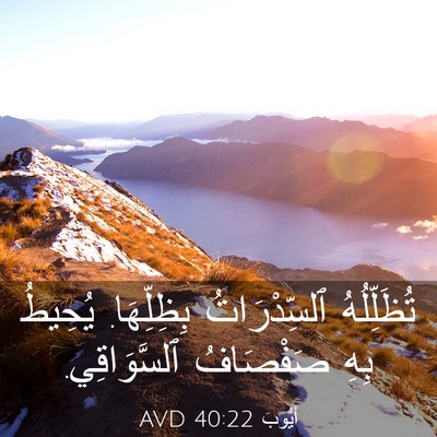 Picture 03 - أَيُّوبَ 40:22 AVD - تُظَلِّلُهُ ٱلسِّدْرَاتُ - Bible Verse Picture