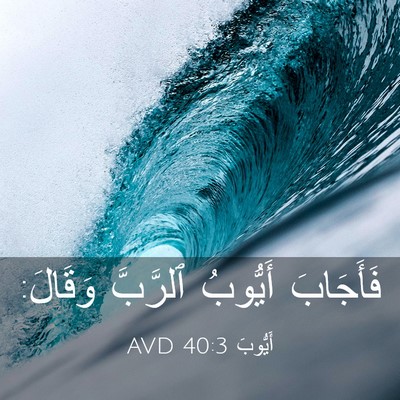 Picture 03 - أَيُّوبَ 40:3 AVD - فَأَجَابَ أَيُّوبُ - Bible Verse Picture