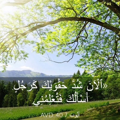 Picture 03 - أَيُّوبَ 40:7 AVD - «ٱلْآنَ شُدَّ حَقْوَيْكَ - Bible Verse Picture