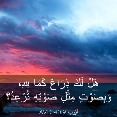 Picture 03 - أَيُّوبَ 40:9 AVD - هَلْ لَكَ ذِرَاعٌ كَمَا - Bible Verse Picture