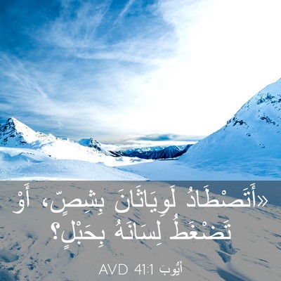 Picture 03 - أَيُّوبَ 41:1 AVD - «أَتَصْطَادُ لَوِيَاثَانَ - Bible Verse Picture