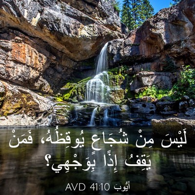 Picture 03 - أَيُّوبَ 41:10 AVD - لَيْسَ مِنْ شُجَاعٍ - Bible Verse Picture
