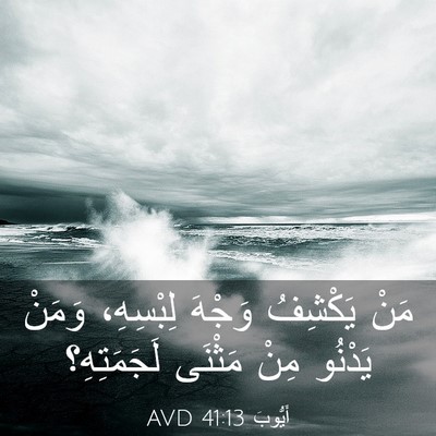 Picture 03 - أَيُّوبَ 41:13 AVD - مَنْ يَكْشِفُ وَجْهَ - Bible Verse Picture