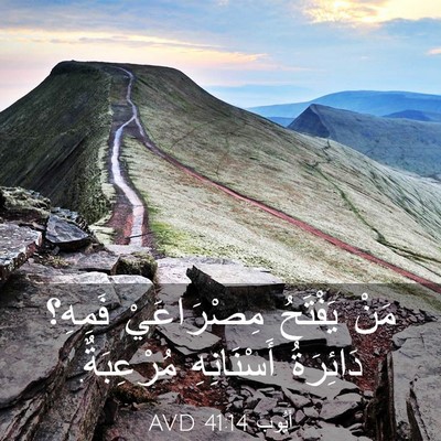 Picture 03 - أَيُّوبَ 41:14 AVD - مَنْ يَفْتَحُ مِصْرَاعَيْ - Bible Verse Picture