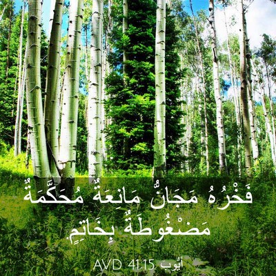 Picture 03 - أَيُّوبَ 41:15 AVD - فَخْرُهُ مَجَانُّ - Bible Verse Picture