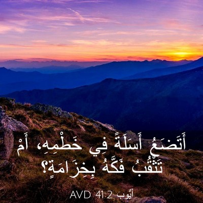 Picture 03 - أَيُّوبَ 41:2 AVD - أَتَضَعُ أَسَلَةً فِي - Bible Verse Picture