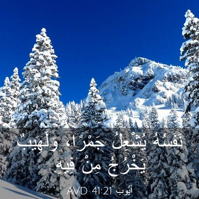 Picture 03 - أَيُّوبَ 41:21 AVD - نَفَسُهُ يُشْعِلُ - Bible Verse Picture