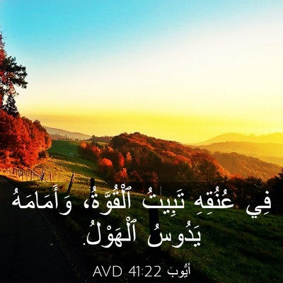 Picture 03 - أَيُّوبَ 41:22 AVD - فِي عُنُقِهِ تَبِيتُ - Bible Verse Picture