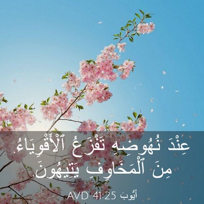 Picture 03 - أَيُّوبَ 41:25 AVD - عِنْدَ نُهُوضِهِ تَفْزَعُ - Bible Verse Picture