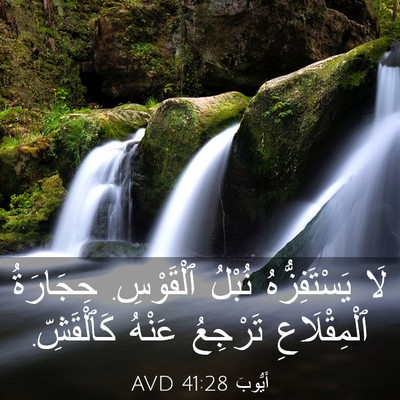 Picture 03 - أَيُّوبَ 41:28 AVD - لَا يَسْتَفِزُّهُ نُبْلُ - Bible Verse Picture