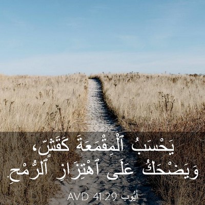 Picture 03 - أَيُّوبَ 41:29 AVD - يَحْسَبُ ٱلْمِقْمَعَةَ - Bible Verse Picture