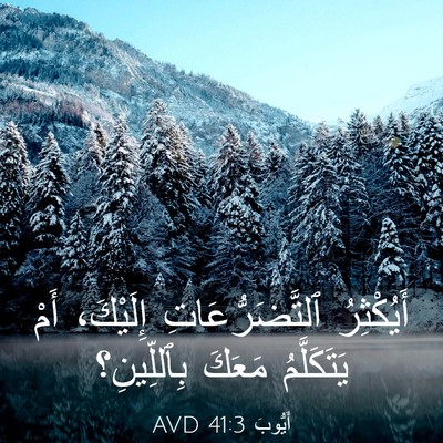 Picture 03 - أَيُّوبَ 41:3 AVD - أَيُكْثِرُ - Bible Verse Picture