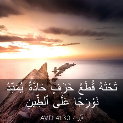 Picture 03 - أَيُّوبَ 41:30 AVD - تَحْتَهُ قُطَعُ خَزَفٍ - Bible Verse Picture