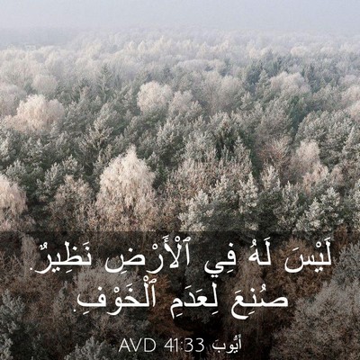 Picture 03 - أَيُّوبَ 41:33 AVD - لَيْسَ لَهُ فِي ٱلْأَرْضِ - Bible Verse Picture