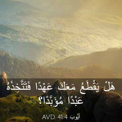 Picture 03 - أَيُّوبَ 41:4 AVD - هَلْ يَقْطَعُ مَعَكَ - Bible Verse Picture