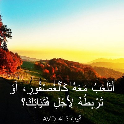 Picture 03 - أَيُّوبَ 41:5 AVD - أَتَلْعَبُ مَعَهُ - Bible Verse Picture
