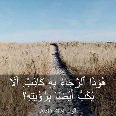 Picture 03 - أَيُّوبَ 41:9 AVD - هُوَذَا ٱلرَّجَاءُ بِهِ - Bible Verse Picture