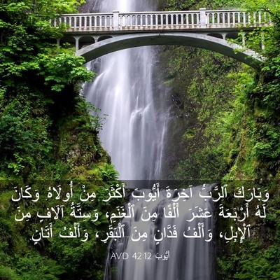 Picture 03 - أَيُّوبَ 42:12 AVD - وَبَارَكَ ٱلرَّبُّ - Bible Verse Picture