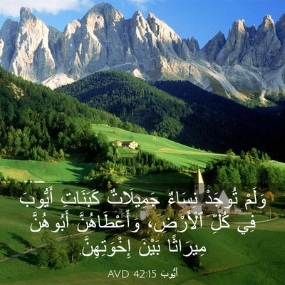 Picture 03 - أَيُّوبَ 42:15 AVD - وَلَمْ تُوجَدْ نِسَاءٌ - Bible Verse Picture