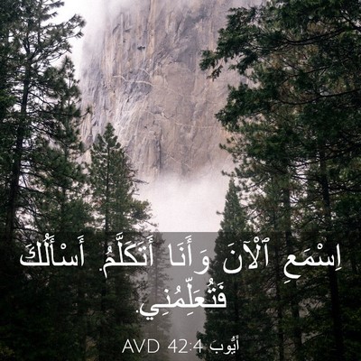 Picture 03 - أَيُّوبَ 42:4 AVD - اِسْمَعِ ٱلْآنَ وَأَنَا - Bible Verse Picture