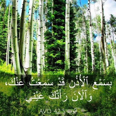 Picture 03 - أَيُّوبَ 42:5 AVD - بِسَمْعِ ٱلْأُذُنِ قَدْ - Bible Verse Picture