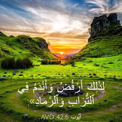Picture 03 - أَيُّوبَ 42:6 AVD - لِذَلِكَ أَرْفُضُ - Bible Verse Picture