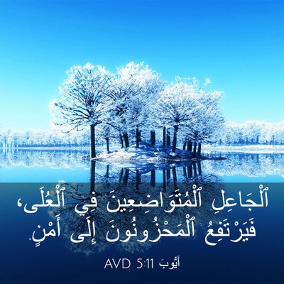 Picture 03 - أَيُّوبَ 5:11 AVD - ٱلْجَاعِلِ - Bible Verse Picture