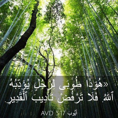 Picture 03 - أَيُّوبَ 5:17 AVD - «هُوَذَا طُوبَى لِرَجُلٍ - Bible Verse Picture