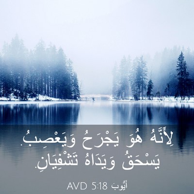 Picture 03 - أَيُّوبَ 5:18 AVD - لِأَنَّهُ هُوَ يَجْرَحُ - Bible Verse Picture