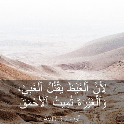 Picture 03 - أَيُّوبَ 5:2 AVD - لِأَنَّ ٱلْغَيْظَ - Bible Verse Picture