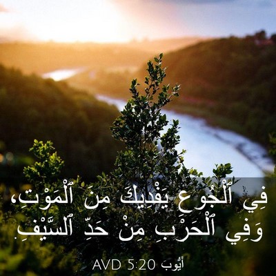 Picture 03 - أَيُّوبَ 5:20 AVD - فِي ٱلْجُوعِ يَفْدِيكَ - Bible Verse Picture
