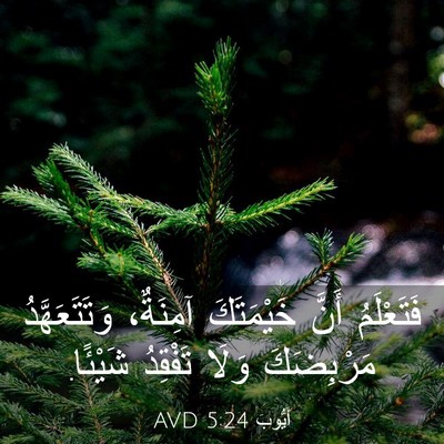 Picture 03 - أَيُّوبَ 5:24 AVD - فَتَعْلَمُ أَنَّ - Bible Verse Picture