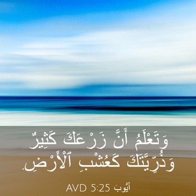 Picture 03 - أَيُّوبَ 5:25 AVD - وَتَعْلَمُ أَنَّ زَرْعَكَ - Bible Verse Picture