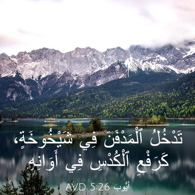 Picture 03 - أَيُّوبَ 5:26 AVD - تَدْخُلُ ٱلْمَدْفَنَ فِي - Bible Verse Picture