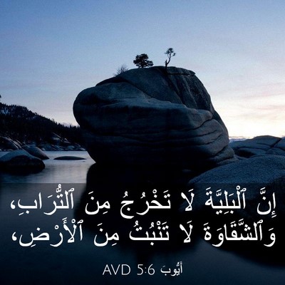 Picture 03 - أَيُّوبَ 5:6 AVD - إِنَّ ٱلْبَلِيَّةَ لَا - Bible Verse Picture